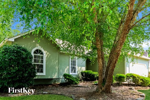 a small green house with a tree in front of it