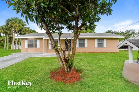 a house with a tree in the yard in front of it