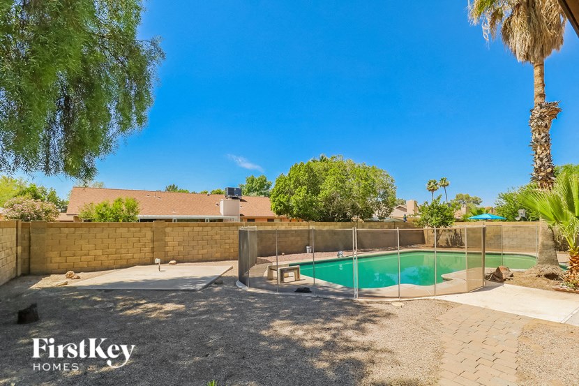 a backyard with a pool and a fence and a palm tree