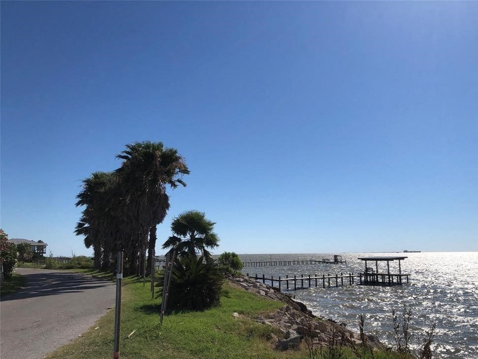 a road next to the water with palm trees and a pier