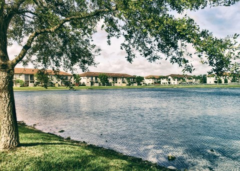 A tree is in the foreground of a serene lake.