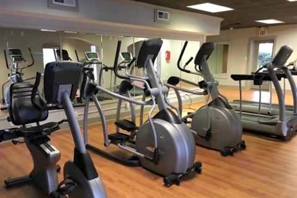 A gym with treadmills and elliptical machines.