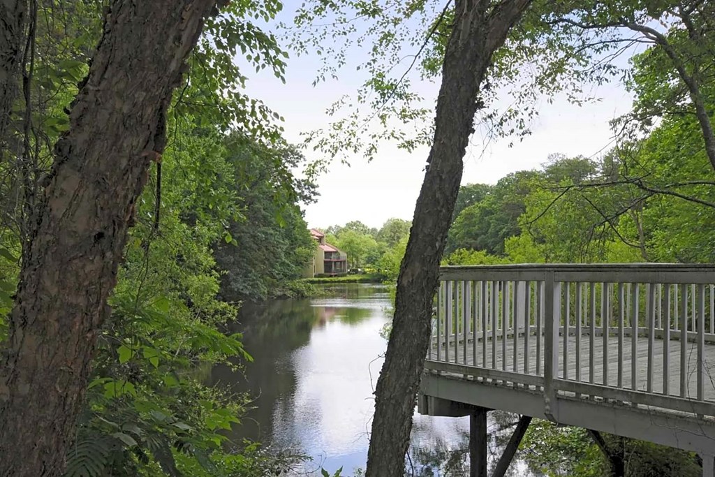 A bridge over a calm river surrounded by lush greenery.