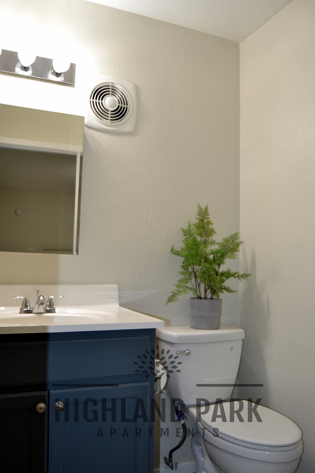 a bathroom with a toilet and a sink and a plant