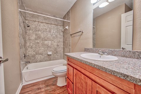a bathroom with a sink toilet and a shower