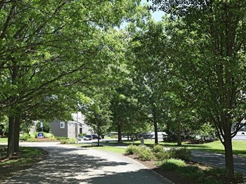 1130 Racquet Club N. Dr. 1-3 Beds Apartment for Rent - Photo Gallery 2
