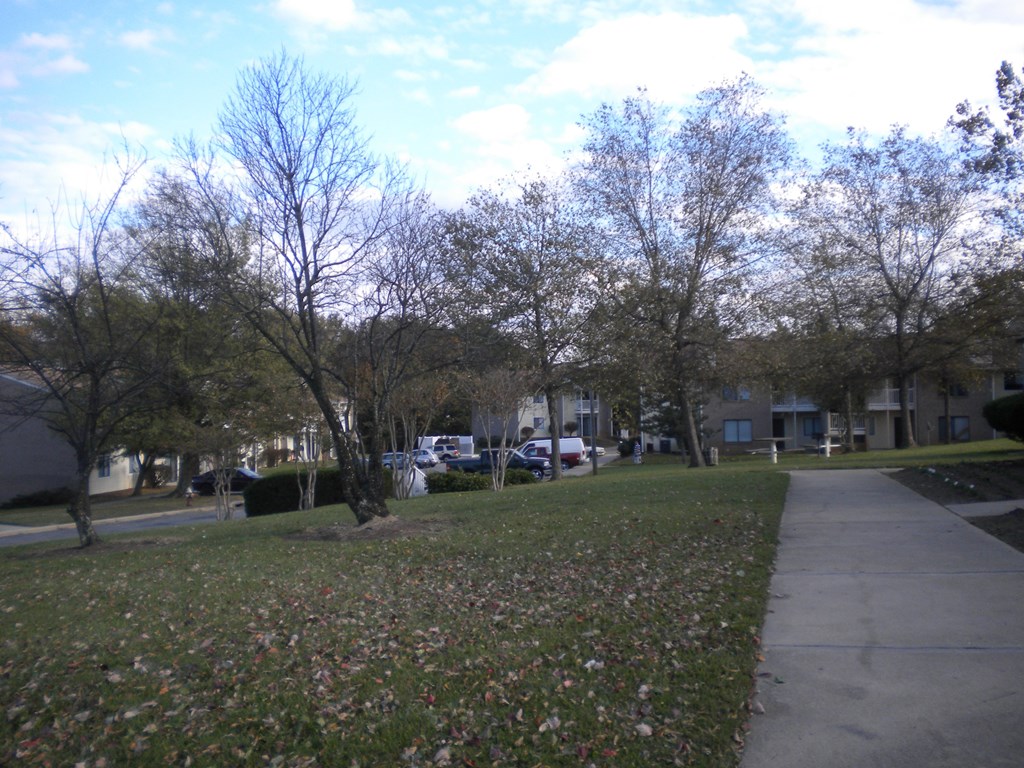 a sidewalk in front of a neighborhood with trees