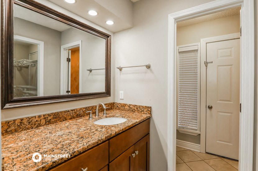 a bathroom with a sink and a mirror and a shower