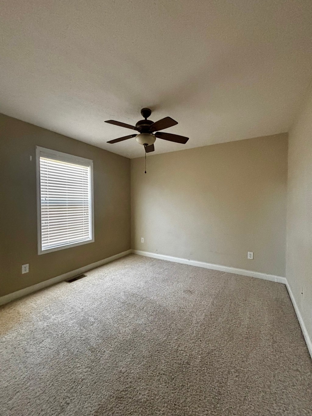 A room with a ceiling fan and carpeted floor.