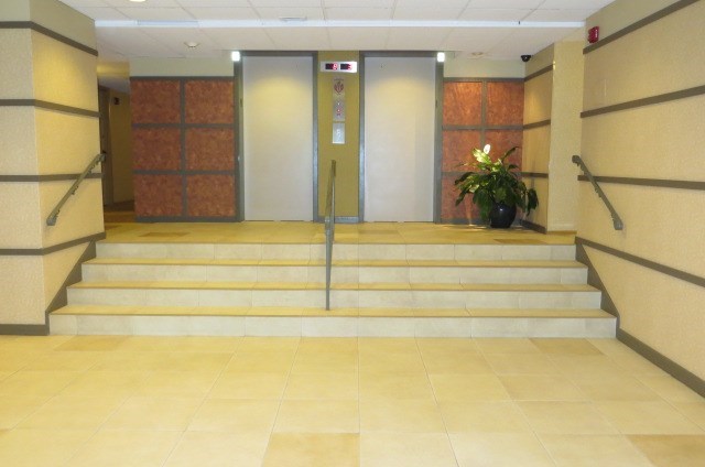 A hallway with a plant and a door.