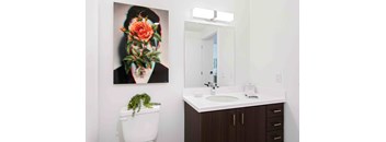 Studio, 1 Bathroom