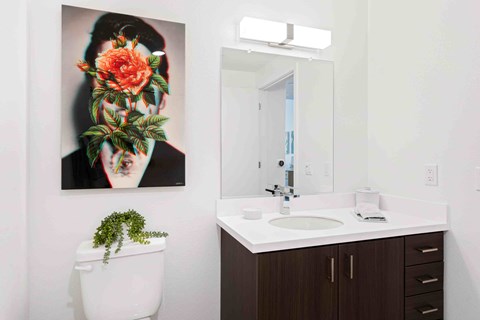 927 U Street Studio-2 Beds Apartment for Rent - Photo Gallery 13