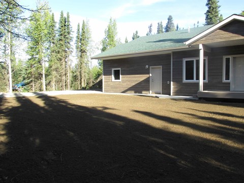 A house with a green roof is surrounded by trees.