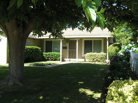 a house with a yard and a tree in front of it