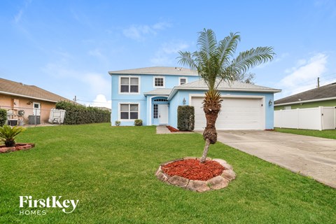a palm tree in a yard in front of a blue house