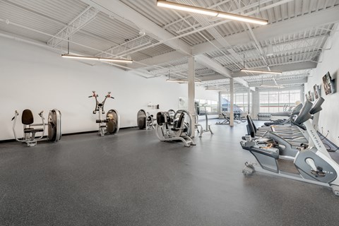 a gym with cardio equipment and weights on the floor