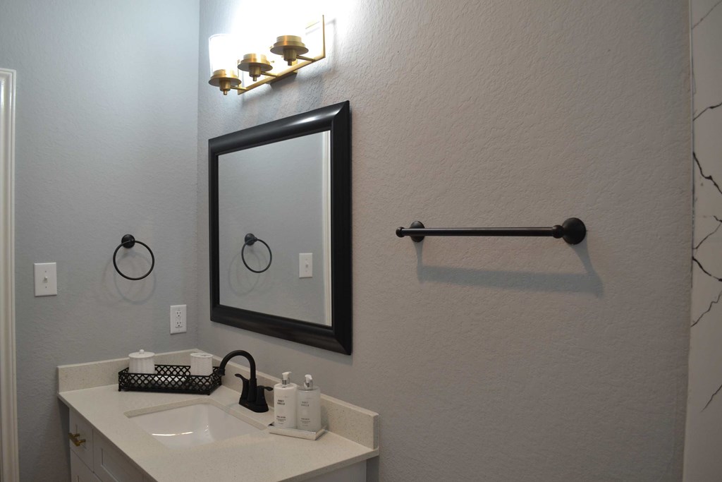 a bathroom with a sink and a mirror and a towel rack