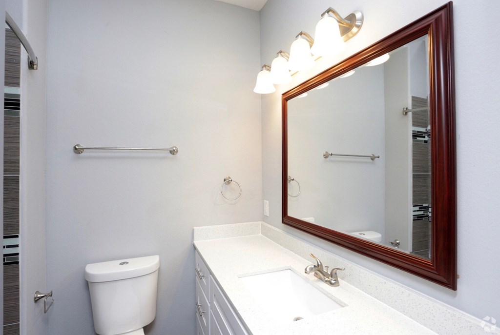a bathroom with a sink and a mirror and a toilet