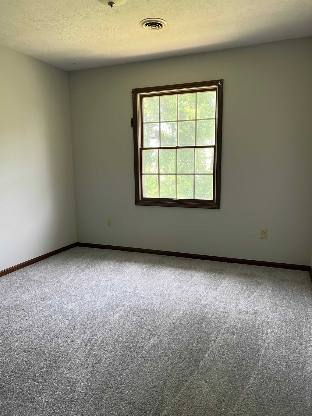 A room with a window and carpeted floor.