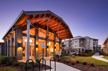7803 S New Braunfels 1-2 Beds Apartment for Rent - Photo Gallery 2