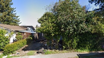 843 Trowbridge St. 3 Beds Apartment for Rent