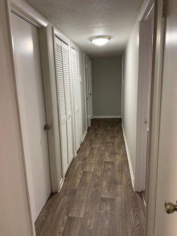3541 Spanish Quarter Cir 1-3 Beds Apartment for Rent - Photo Gallery 4