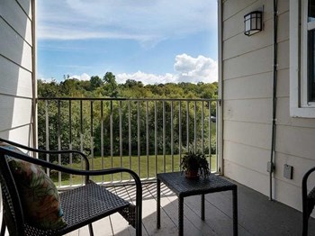 121 Hazelwood Dr 1-2 Beds Apartment for Rent - Photo Gallery 4