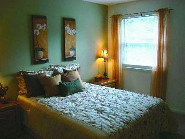 3217 Shamrock Dr 1-3 Beds Apartment for Rent - Photo Gallery