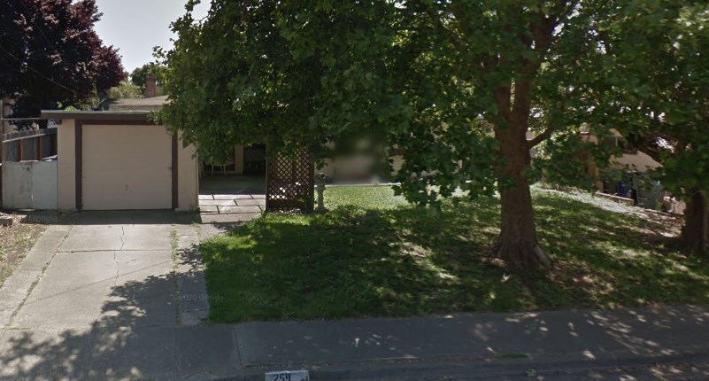 A tree is in front of a house.