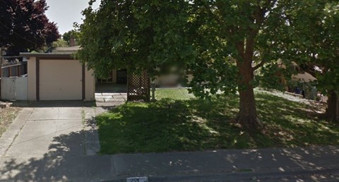A tree is in front of a house.