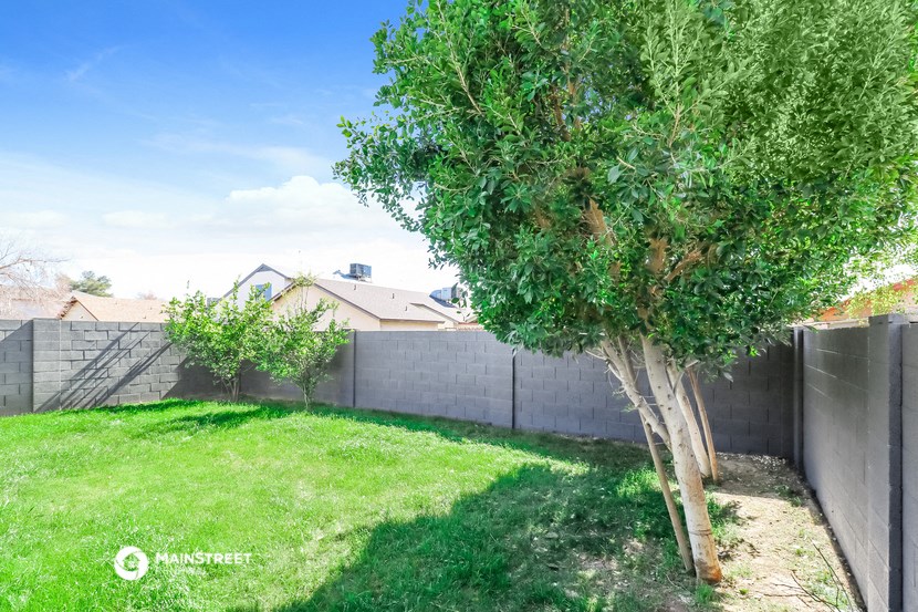 a backyard with a tree and a fence
