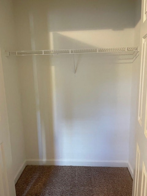 A white closet with a metal rod and carpeted floor.