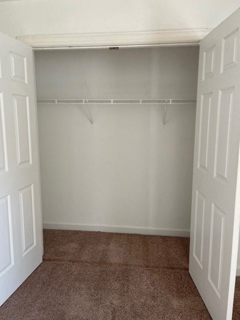 A white closet with a brown carpet.