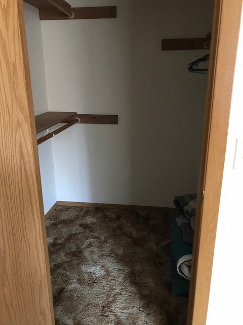 a small room with a closet and a carpeted floor