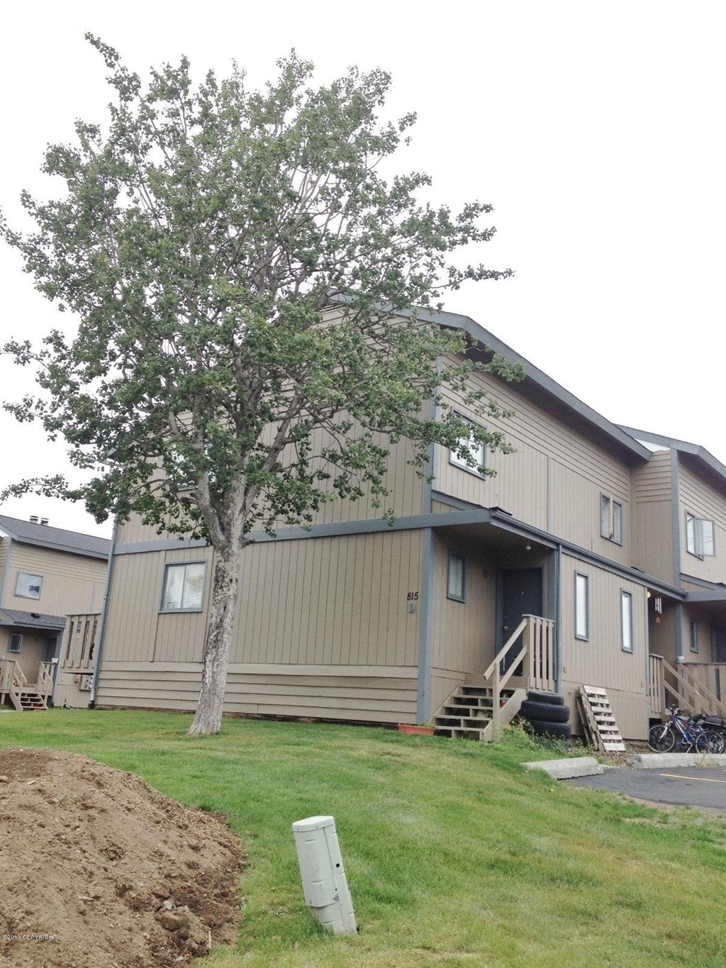 a house with a tree in front of it