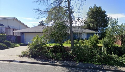 A house with a driveway and a tree in front.