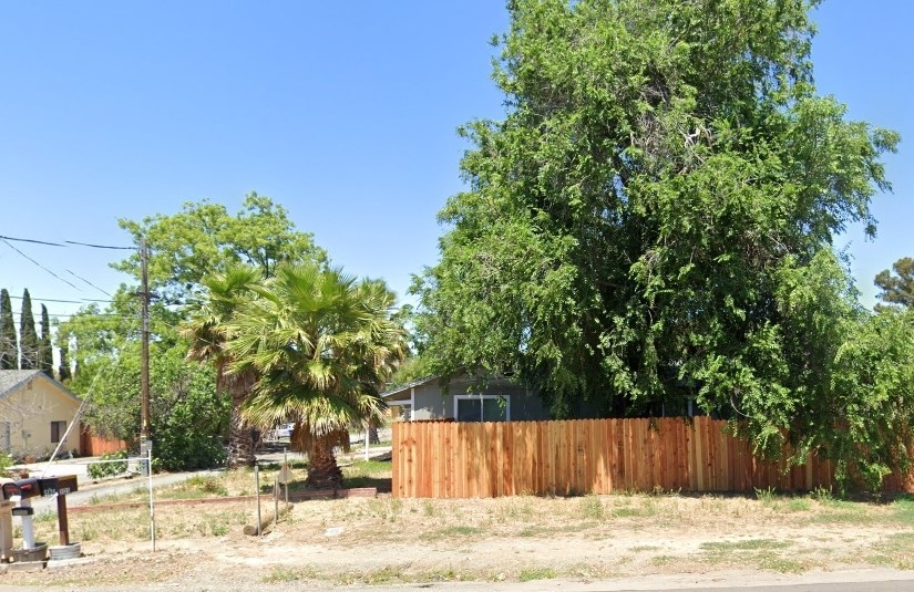 a backyard with a wooden fence and a palm tree