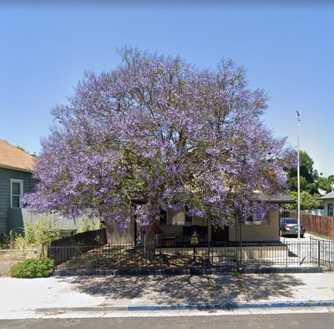 1012 W 4Th St. 2 Beds Apartment for Rent