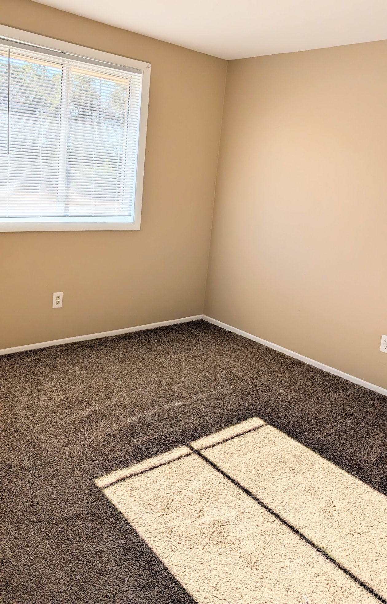A room with a carpet and a rug in the middle.