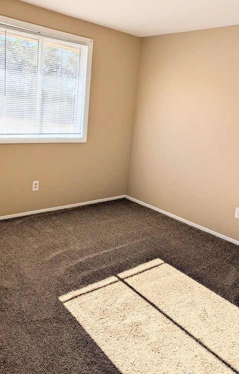 A room with a carpet and a rug in the middle.