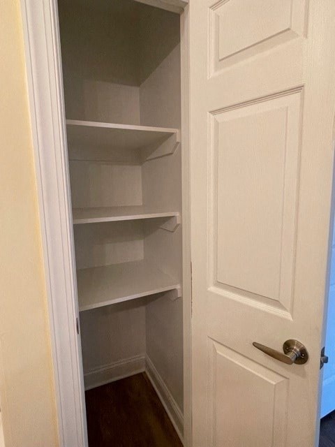 A white door with a handle is open to a pantry with empty shelves.