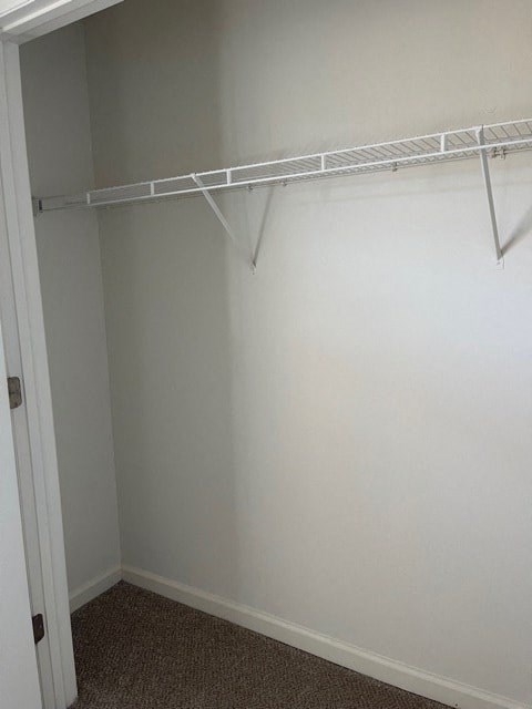 A white closet with a metal rail and carpeted floor.