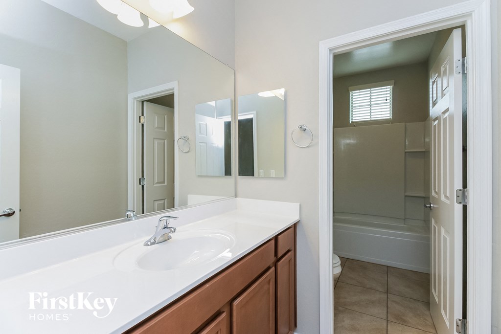 a bathroom with a sink and a mirror and a shower
