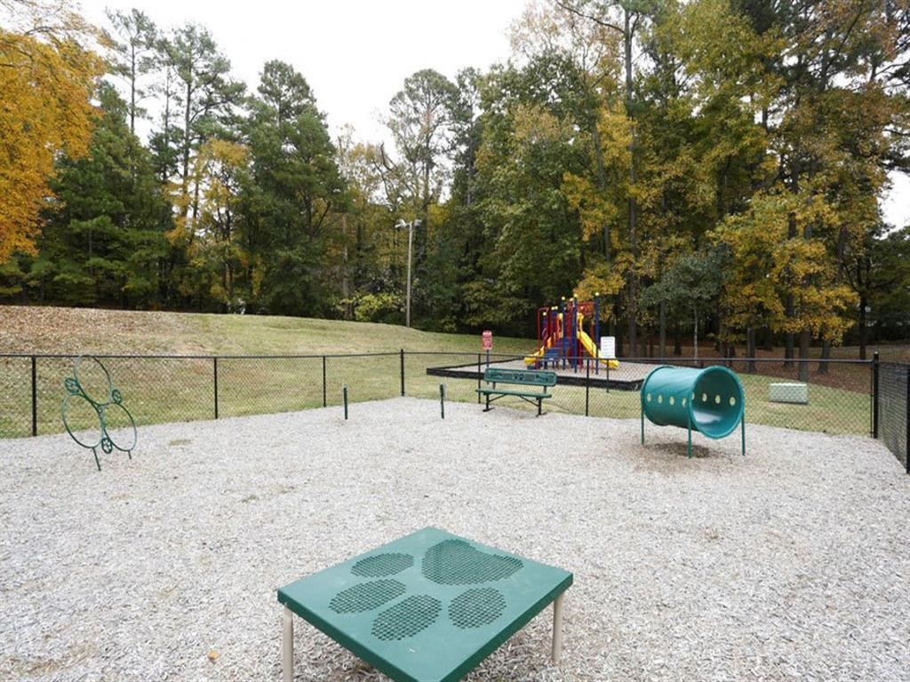 Dog Park at Casa de Luna in Raleigh, North Carolina.