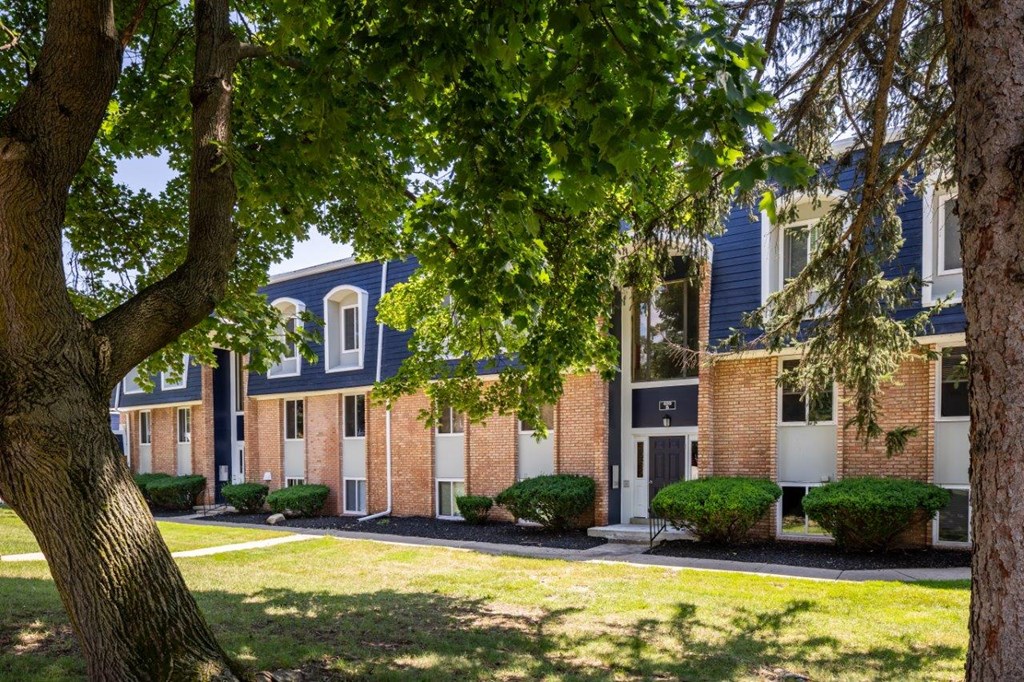 A tree in front of a building with blue trim.