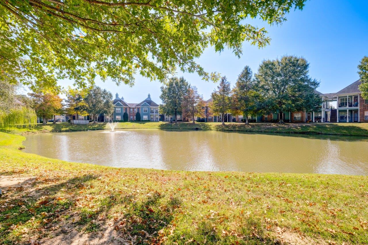 a pond in front of a building with trees