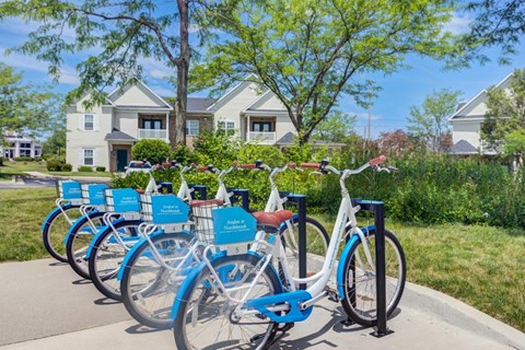a row of blue and white bikes parked on a sidewalk