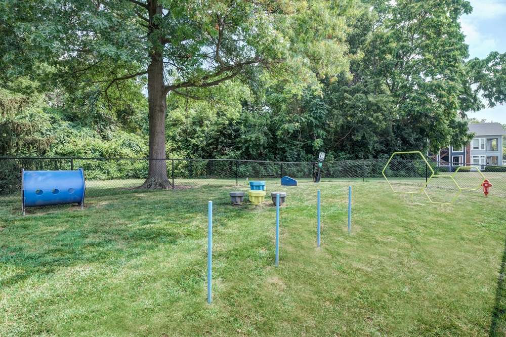 a park with a frisbee game in the grass