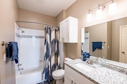 a bathroom with a shower toilet and sink and a mirror