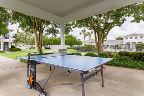 enjoy a game of ping pong on our outdoor table